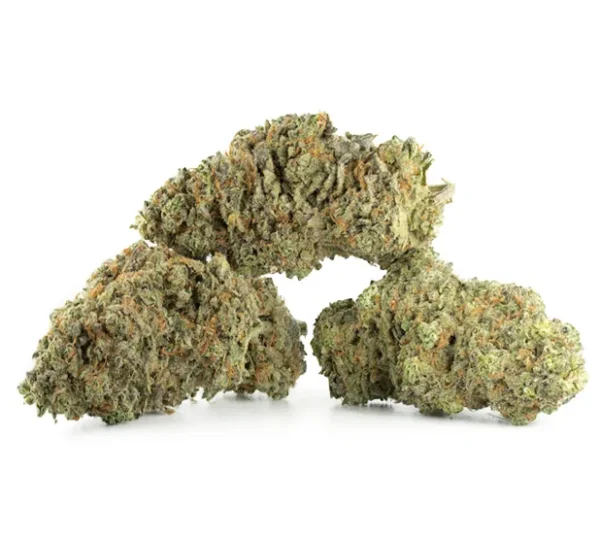Amnesia-Haze-1-600x540 Amnesia Haze-Sorte - Image 1