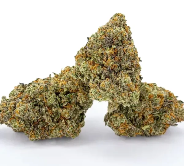 Biscotti-1-600x542 (1) Biscotti-Sorte - Image 1