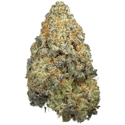 Blue-Dream-Strain Blue Dream-Sorte - Image 1