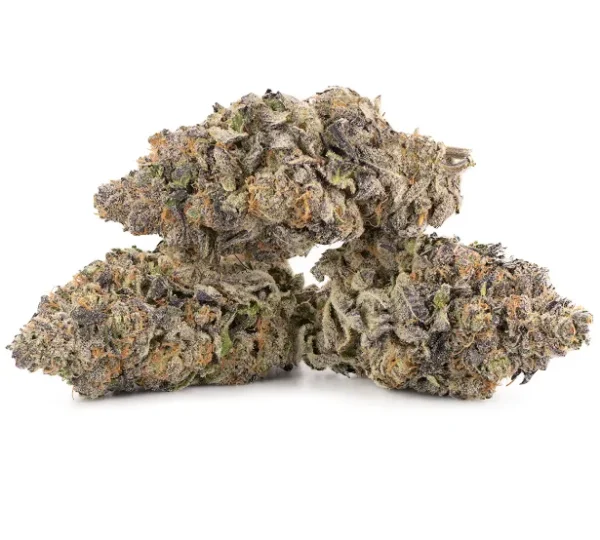 Mimosa-600x540 Mimosa-Sorte - Image 1